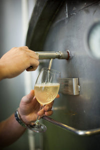 "Cape Fern" Chenin Blanc Single Vineyard