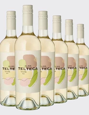 „Alma Telteca“ Torrontes