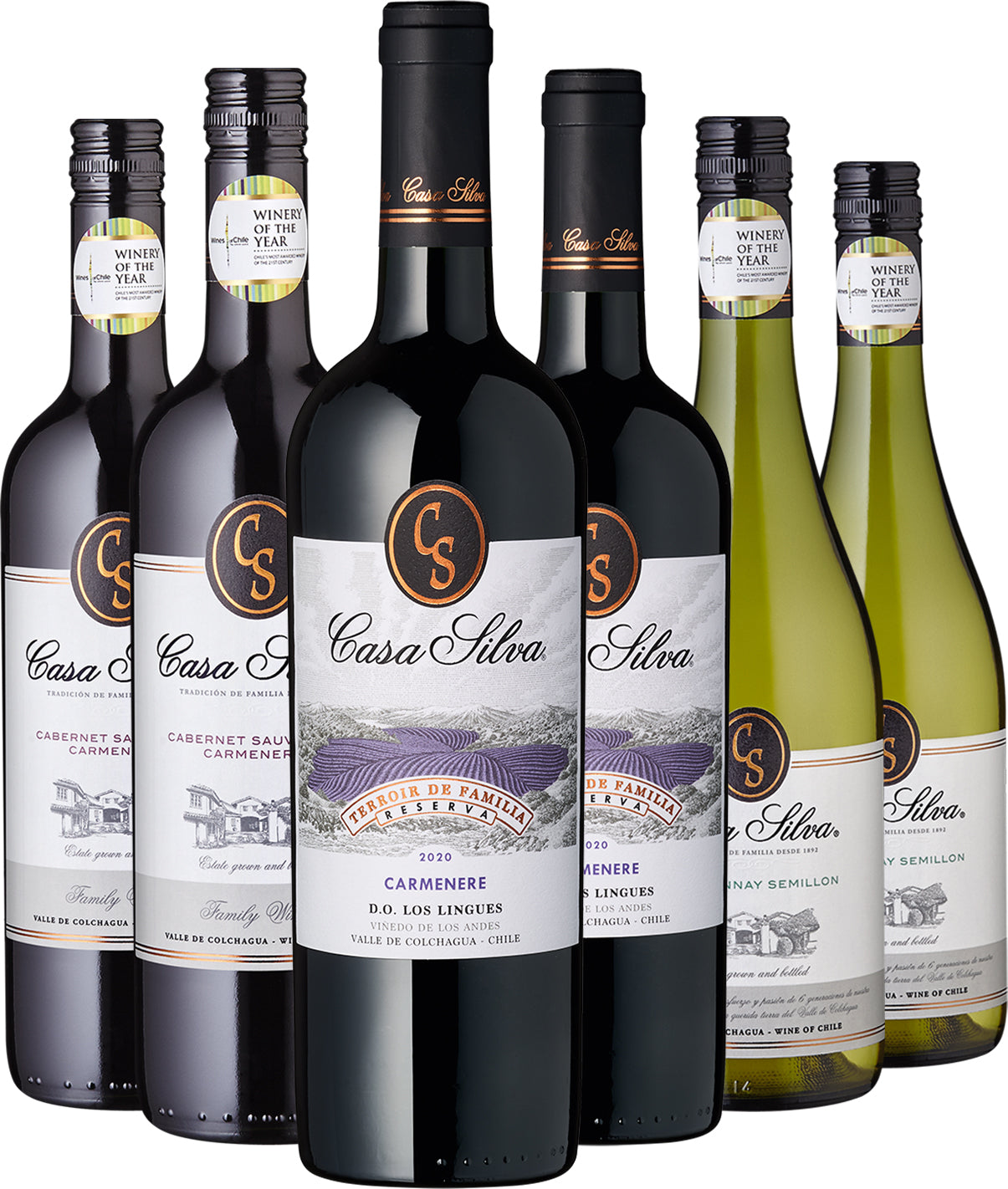 Grill-Klassiker vom Weingut Casa Silva