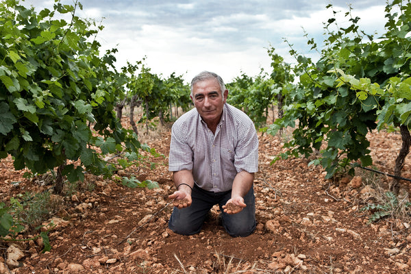 Vino de Pago Crianza