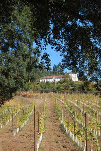"Falco da Raza" Vinho Verde