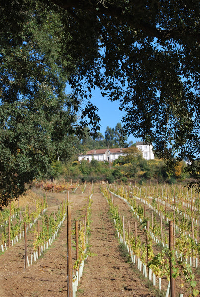 "Falco da Raza" Vinho Verde