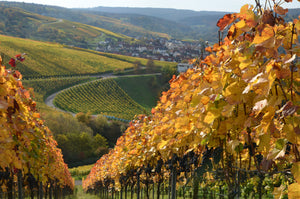 Gipskeuper Lemberger Weingut Rainer Schnaitmann