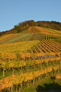Gipskeuper Lemberger Weingut Rainer Schnaitmann