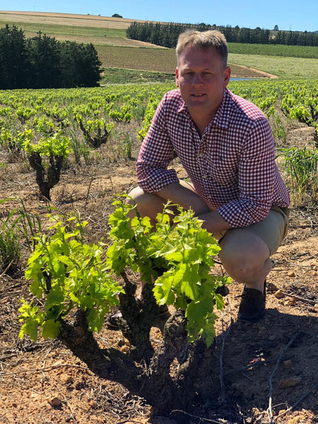 "Cape Fern" Chenin Blanc Single Vineyard
