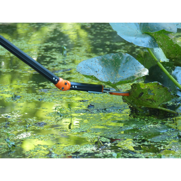 Der Rosenkavalier. Rosen-Schere, teleskopierbar, schneidet Wasserpflanzen präzise in einem Teich, der von üppigen grünen Blättern und schwimmender Vegetation umgeben ist.