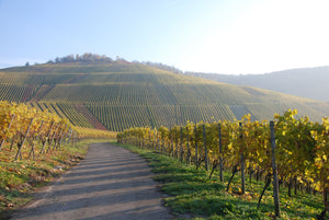 Gipskeuper Lemberger Weingut Rainer Schnaitmann