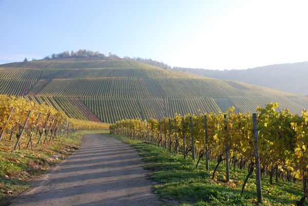 Gipskeuper Lemberger Weingut Rainer Schnaitmann