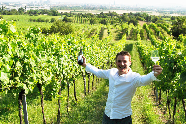 Herren Wiener Gemischter Satz Weingut Pfaffl