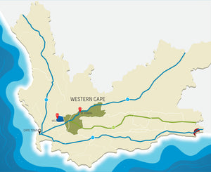 "Cape Fern" Chenin Blanc Single Vineyard