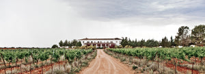 Vino de Pago Crianza