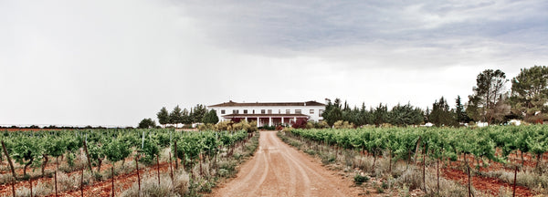 Vino de Pago Crianza