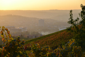 Gipskeuper Lemberger Weingut Rainer Schnaitmann