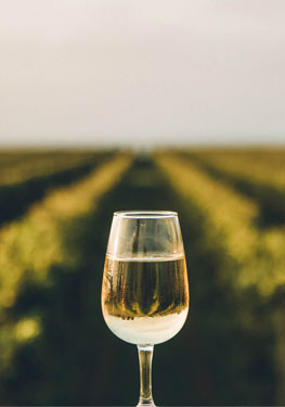 Vinothek