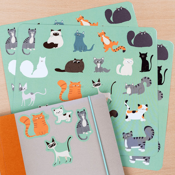 Rucksack-Set "Nine lives"
