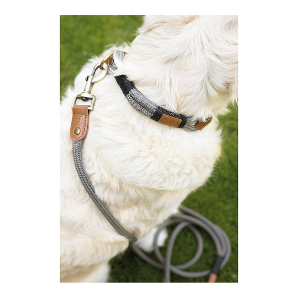 Hundehalsband
