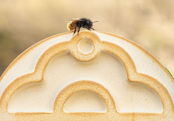 Wildbienenhaus