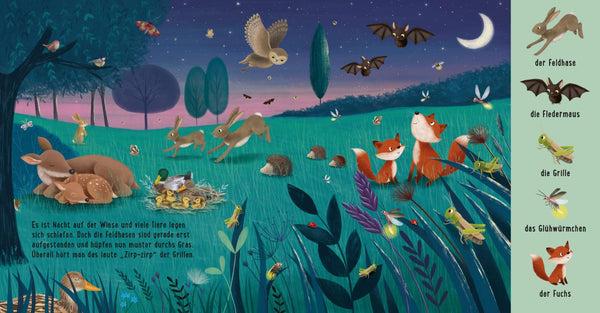 Mein erstes Natur-Wimmelbuch - Tiere auf der Wiese