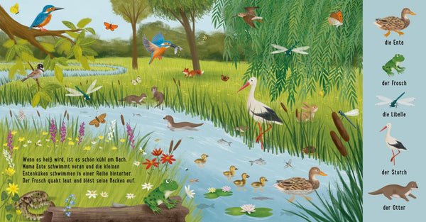 Mein erstes Natur-Wimmelbuch - Tiere auf der Wiese