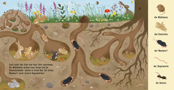 Mein erstes Natur-Wimmelbuch - Tiere auf der Wiese