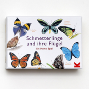 Schmetterlinge und ihre Flügel - Bild 1